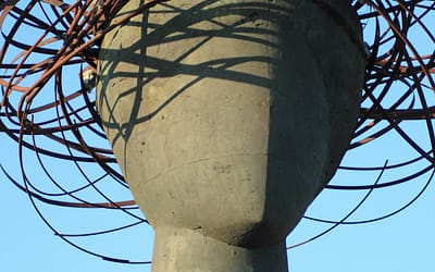 La Plasticidad Cerebral